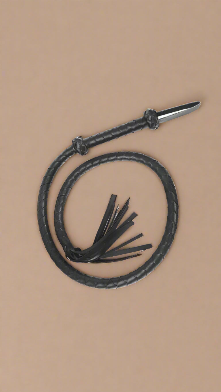 Flogger Whip - CHAMBRE 535