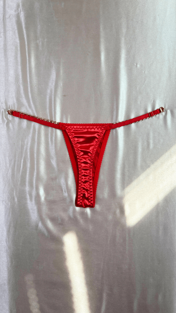 Roses are Red and Chains Panty - TRÈS FOU OR SOMETHING