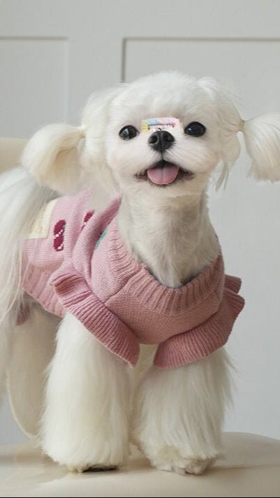 Cherries Puppy Sweater - TRÈS FOU OR SOMETHING