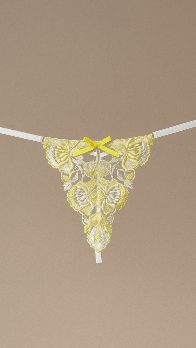 June Panty - CHAMBRE 535