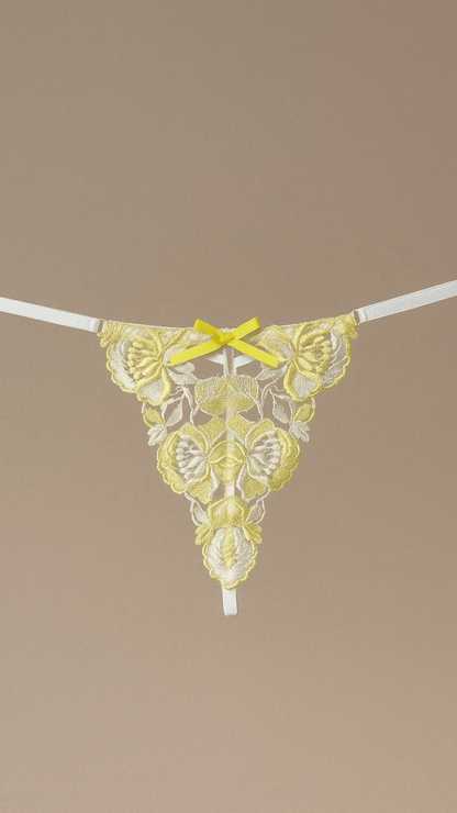 June Panty - CHAMBRE 535