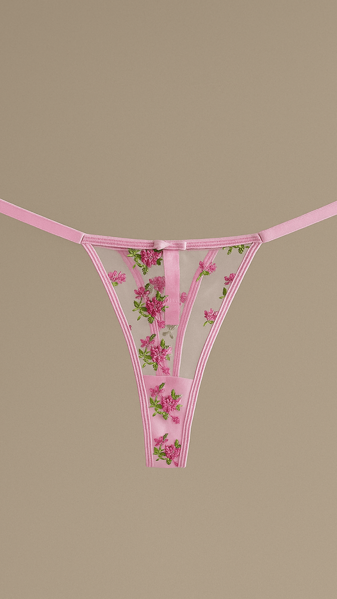 Princess Panty - CHAMBRE 535