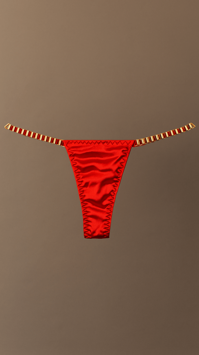 Roses are Red and Chains Panty - CHAMBRE 535